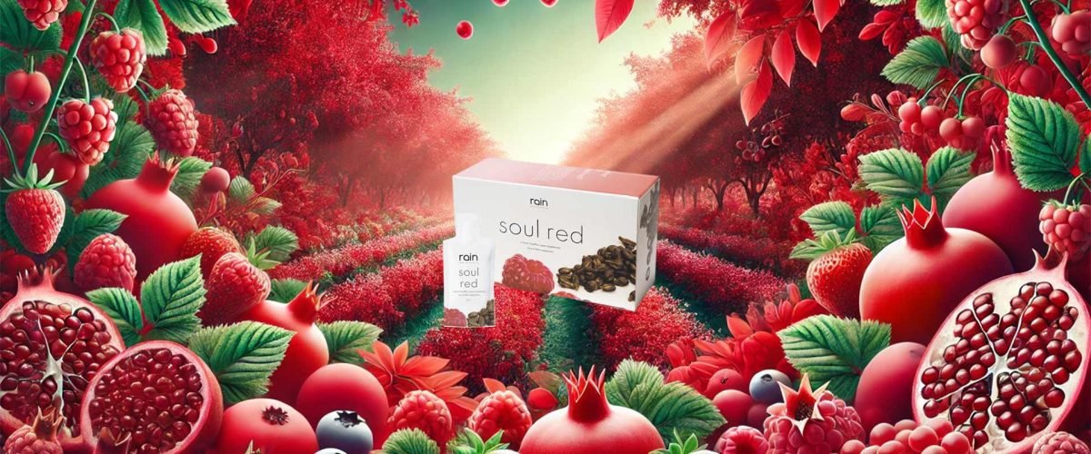 En frodig röd bärträdgård med hallon, jordgubbar och granatäpplen, som visar de naturliga antioxidantrika källorna bakom Soul Red-tillskottet.